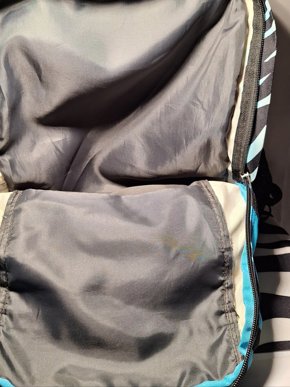 Jansport Backpack, Zebra Stripes, Black & Blue & White w/Blue Accents - Picture 11 of 15